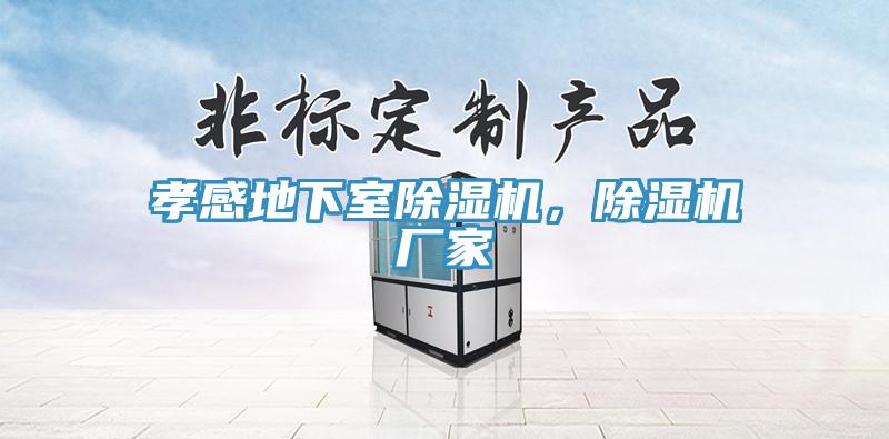 孝感地下室除湿机，除湿机厂家