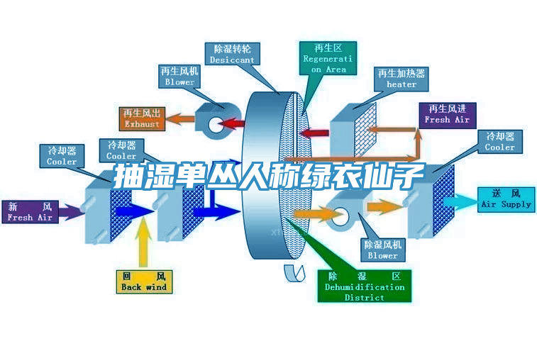 抽湿单丛人称绿衣仙子