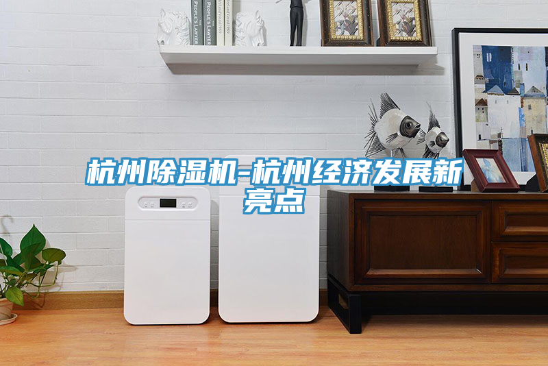 杭州除湿机-杭州经济发展新亮点