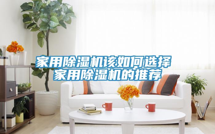 家用除湿机该如何选择 家用除湿机的推荐