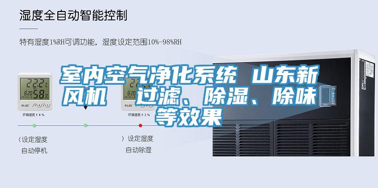 室内空气净化系统 山东新风机  过滤、除湿、除味等效果