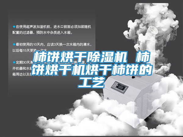 柿饼烘干除湿机 柿饼烘干机烘干柿饼的工艺