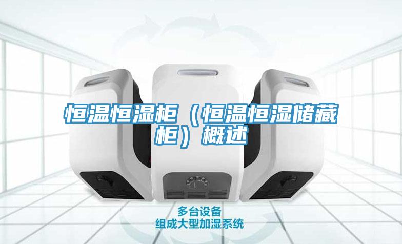 恒温恒湿柜（恒温恒湿储藏柜）概述