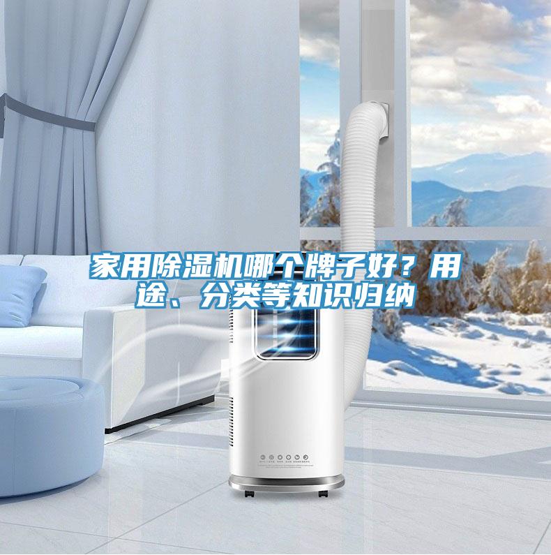 家用除湿机哪个牌子好？用途、分类等知识归纳