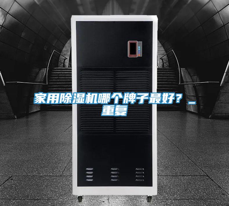 家用除湿机哪个牌子最好？_重复