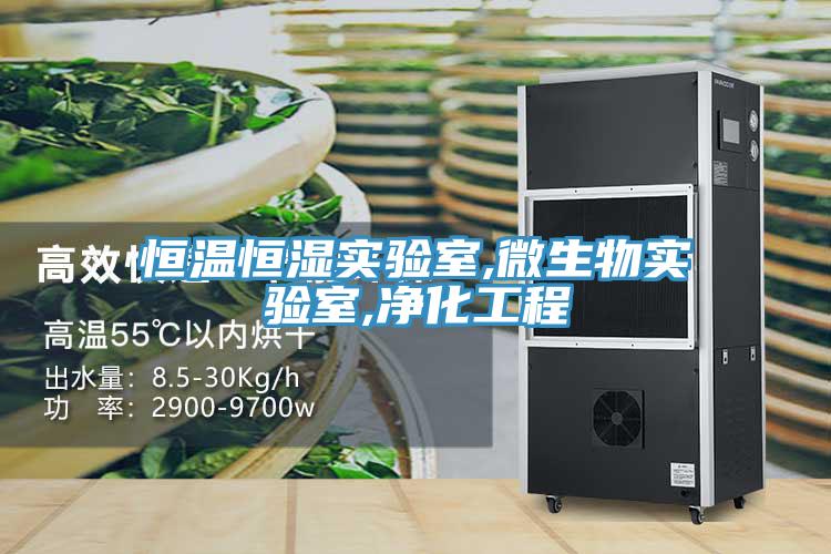 恒温恒湿实验室,微生物实验室,净化工程