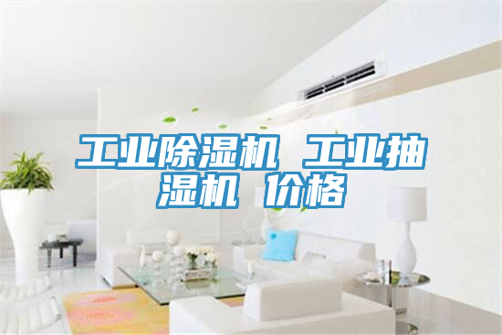 工业除湿机 工业抽湿机 价格