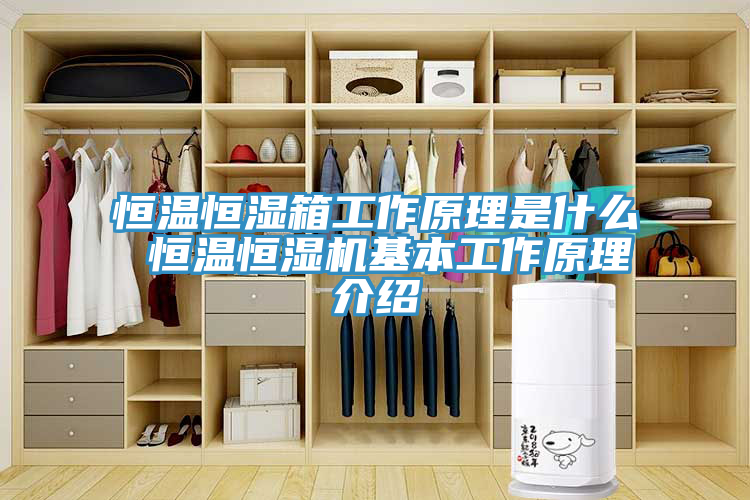 恒温恒湿箱工作原理是什么 恒温恒湿机基本工作原理介绍