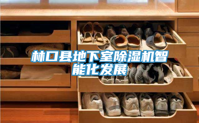 林口县地下室除湿机智能化发展