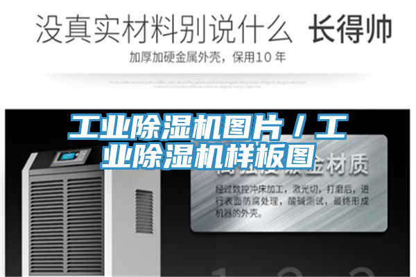 工业除湿机图片／工业除湿机样板图