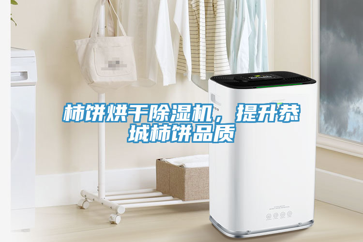 柿饼烘干除湿机，提升恭城柿饼品质