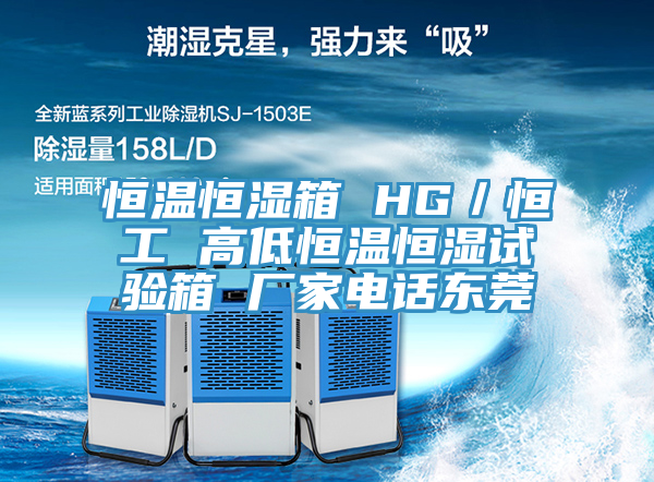 恒温恒湿箱 HG／恒工 高低恒温恒湿试验箱 厂家电话东莞