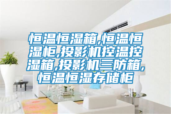 恒温恒湿箱,恒温恒湿柜,投影机控温控湿箱,投影机三防箱,恒温恒湿存储柜