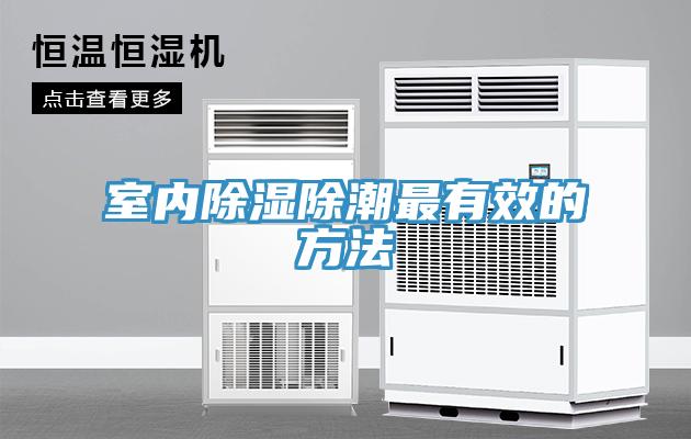 室内除湿除潮最有效的方法