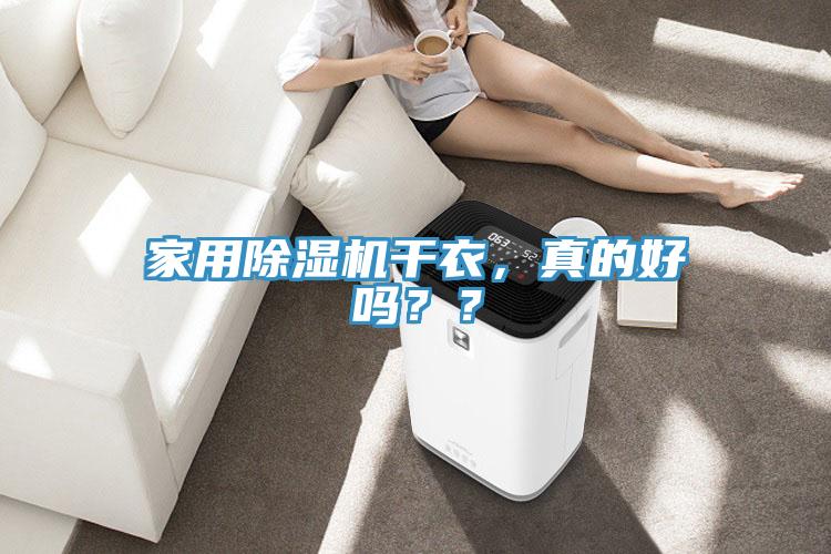 家用除湿机干衣，真的好吗？？