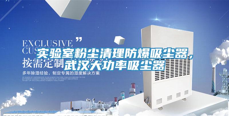 实验室粉尘清理防爆吸尘器，武汉大功率吸尘器