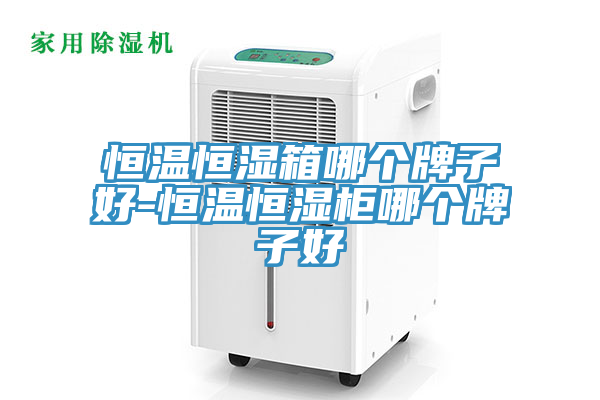 恒温恒湿箱哪个牌子好-恒温恒湿柜哪个牌子好