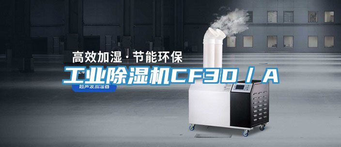 工业除湿机CF3D／A
