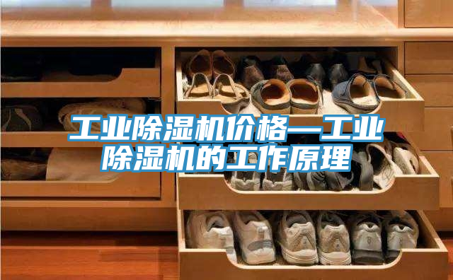 工业除湿机价格—工业除湿机的工作原理