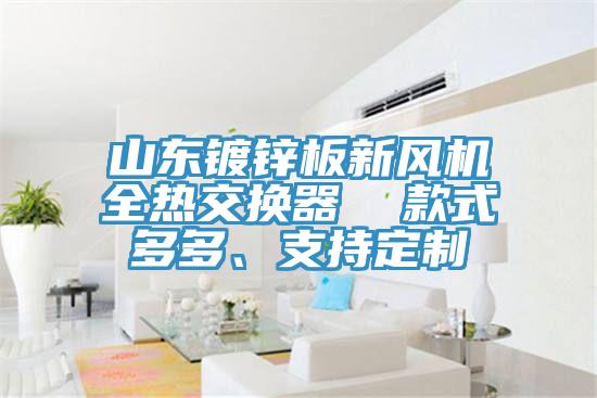 山东镀锌板新风机全热交换器  款式多多、支持定制