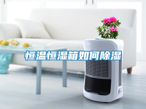 恒温恒湿箱如何除湿