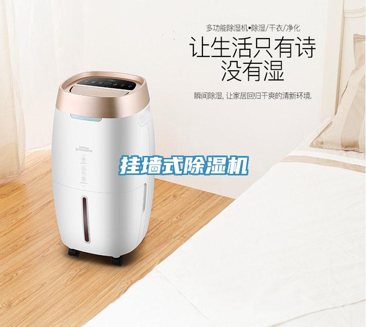 挂墙式除湿机