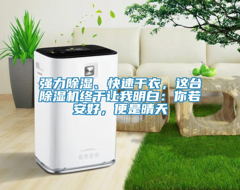 强力除湿、快速干衣，这台除湿机终于让我明白：你若安好，便是晴天
