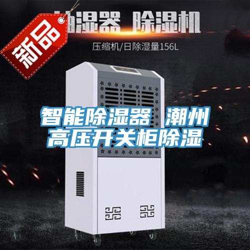 智能除湿器 潮州高压开关柜除湿