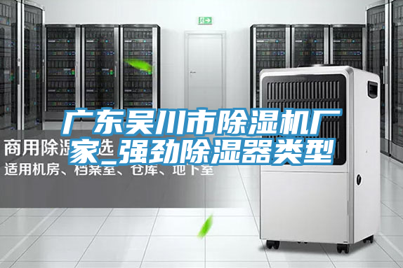 广东吴川市除湿机厂家_强劲除湿器类型