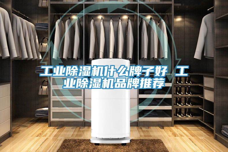 工业除湿机什么牌子好 工业除湿机品牌推荐