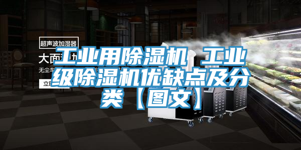 工业用除湿机 工业级除湿机优缺点及分类【图文】