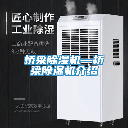 桥梁除湿机—桥梁除湿机介绍