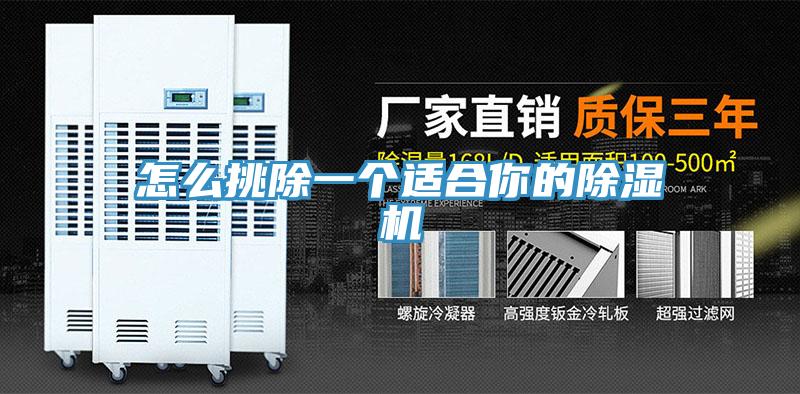 怎么挑除一个适合你的除湿机