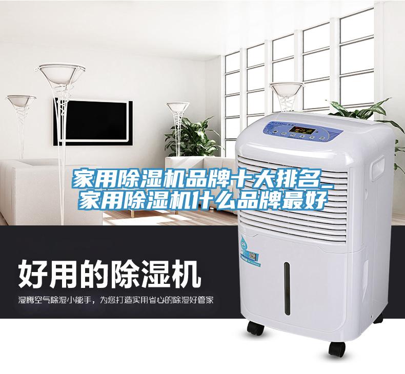 家用除湿机品牌十大排名_家用除湿机什么品牌最好