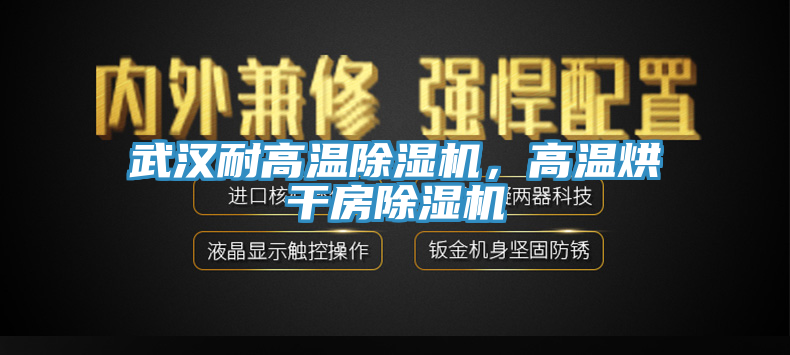 武汉耐高温除湿机，高温烘干房除湿机