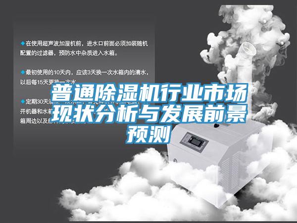 普通除湿机行业市场现状分析与发展前景预测