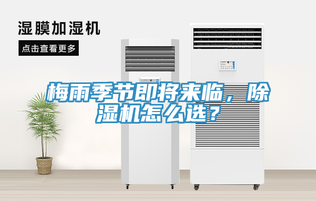 梅雨季节即将来临，除湿机怎么选？