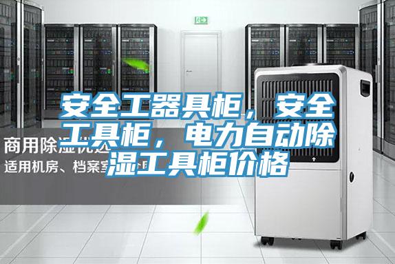 安全工器具柜，安全工具柜，电力自动除湿工具柜价格