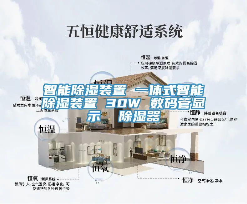 智能除湿装置 一体式智能除湿装置 30W 数码管显示  除湿器