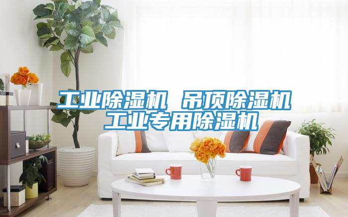 工业除湿机 吊顶除湿机 工业专用除湿机