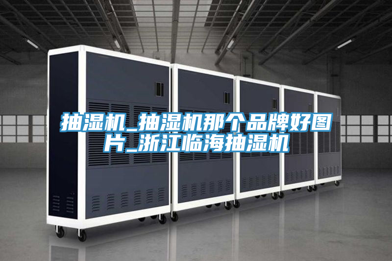 抽湿机_抽湿机那个品牌好图片_浙江临海抽湿机
