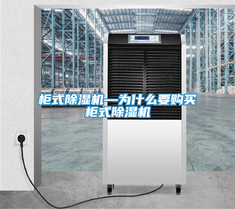 柜式除湿机—为什么要购买柜式除湿机