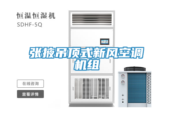 张掖吊顶式新风空调机组