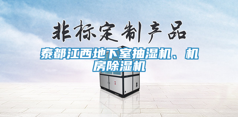 泰都江西地下室抽湿机、机房除湿机