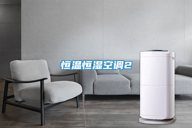 恒温恒湿空调2