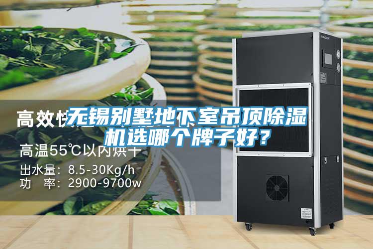无锡别墅地下室吊顶除湿机选哪个牌子好？