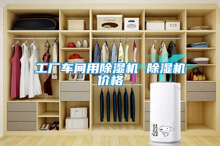 工厂车间用除湿机 除湿机价格