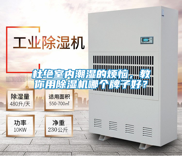 杜绝室内潮湿的烦恼，教你用除湿机哪个牌子好？