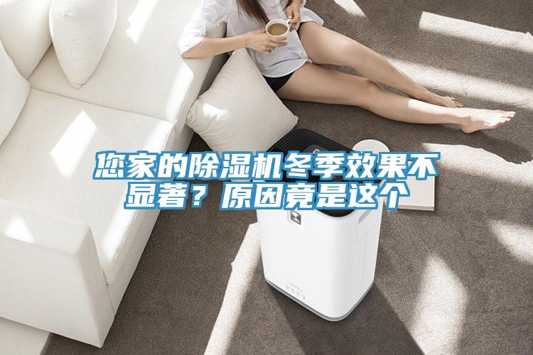 您家的除湿机冬季效果不显著？原因竟是这个