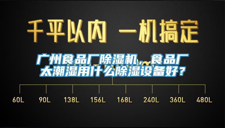 广州食品厂除湿机，食品厂太潮湿用什么除湿设备好？